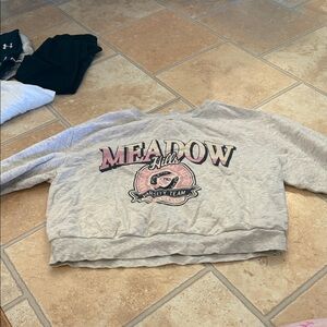 H&M Gray Meadow Hills Sweater